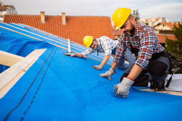 Best Roof Leak Repair  in Osage City, KS